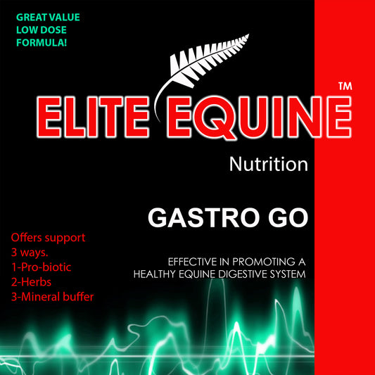 ALL PRODUCTS – Elite Equine Nutrition UK/EU